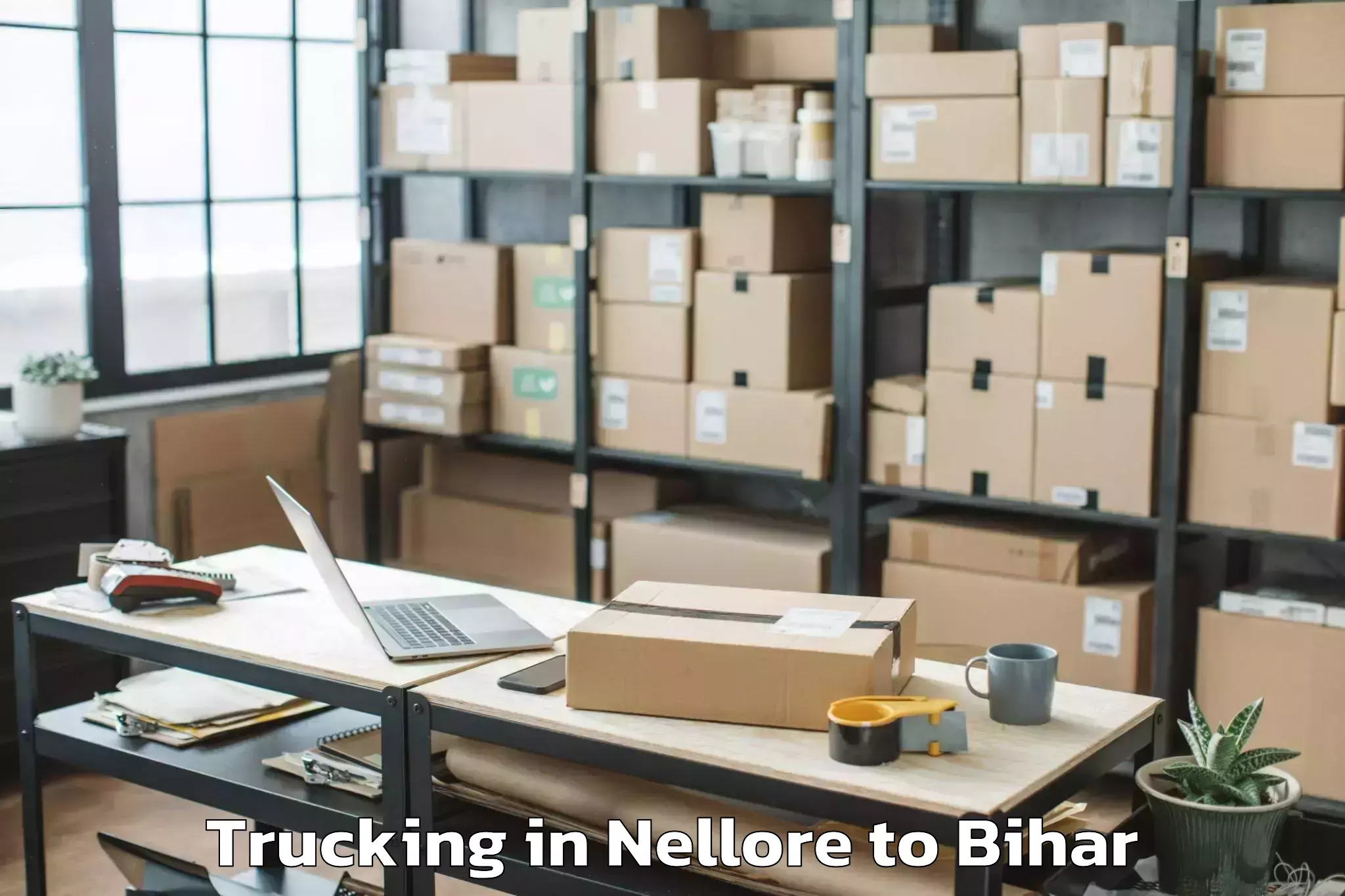 Professional Nellore to Kk University Biharsharif Trucking